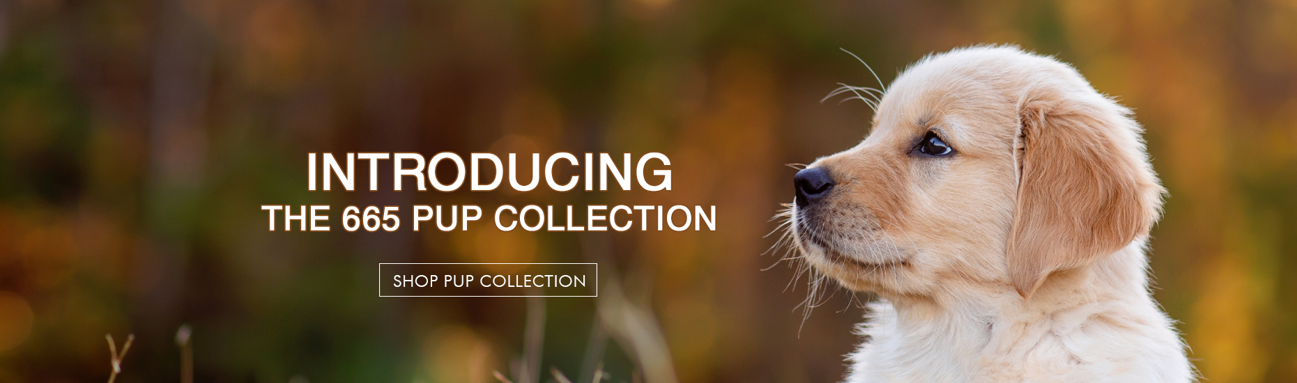 Shop The Pup Collection