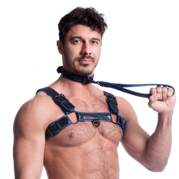 Vegan Collar Black & Blue