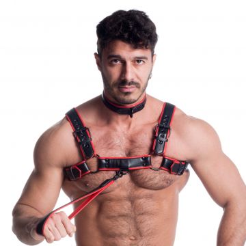 Vegan Leash Black & Red