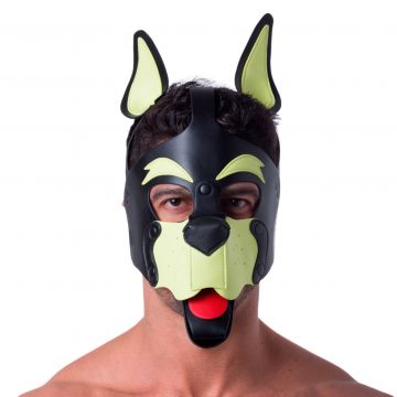 Playful Pup Hood Black Yellow