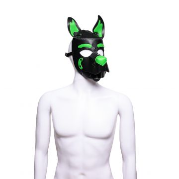 Pup 2.0 Hood Green