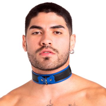 Pup Collar