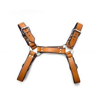 Auburn Saddle Bulldog Harness